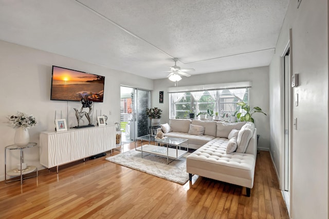 living room with hardwood / wood-style floors, a textured ceiling, and ceiling fan