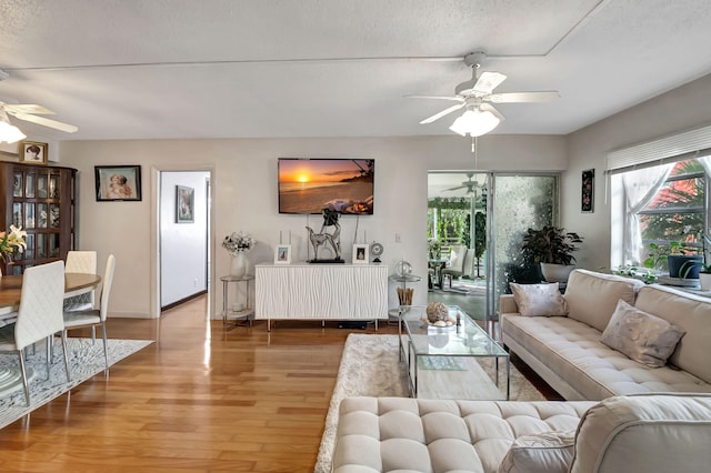 living room featuring hardwood / wood-style floors, a textured ceiling, and ceiling fan