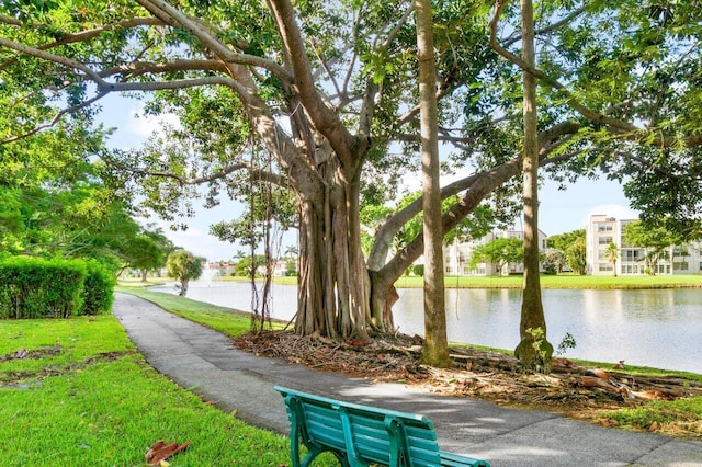 view of home's community with a yard and a water view