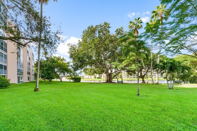 view of community with a yard and a water view