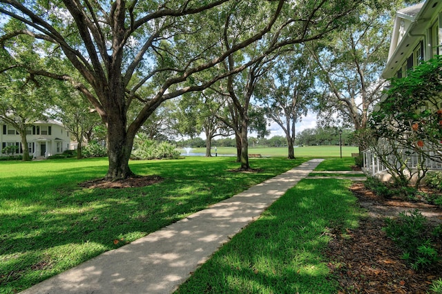 view of property's community with a yard