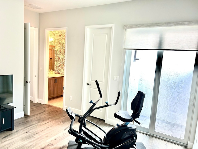 workout room featuring light hardwood / wood-style floors and a wealth of natural light