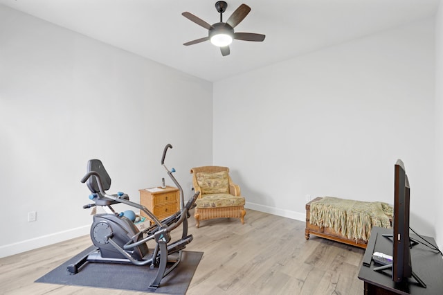 workout room featuring ceiling fan and light wood-type flooring