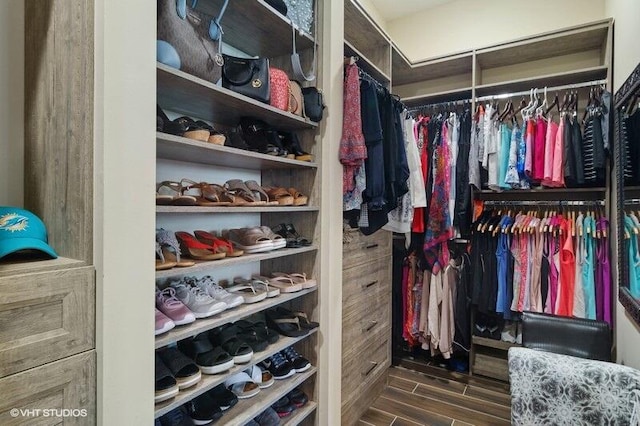 spacious closet featuring dark wood-type flooring