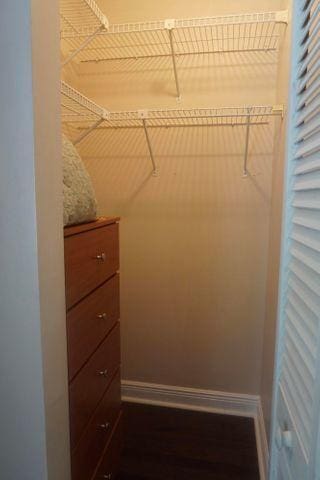 spacious closet featuring dark hardwood / wood-style flooring