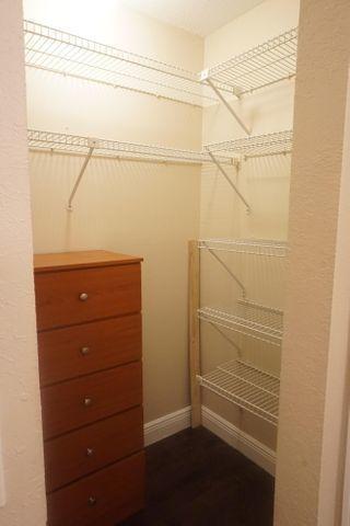 walk in closet with wood-type flooring