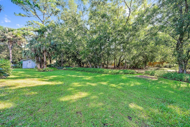 view of yard with a shed