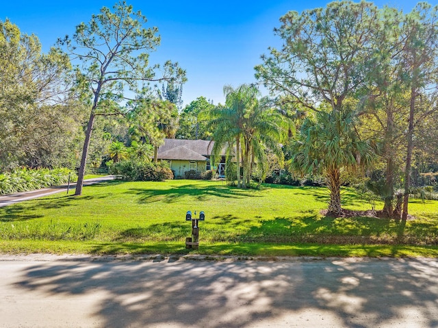 view of community with a lawn