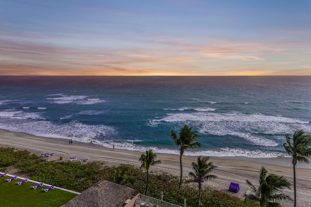 water view featuring a beach view