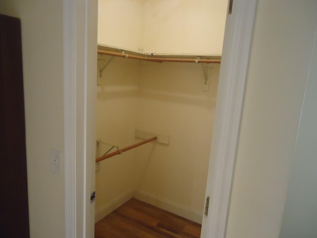 walk in closet featuring dark hardwood / wood-style flooring