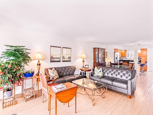 living room with light hardwood / wood-style floors