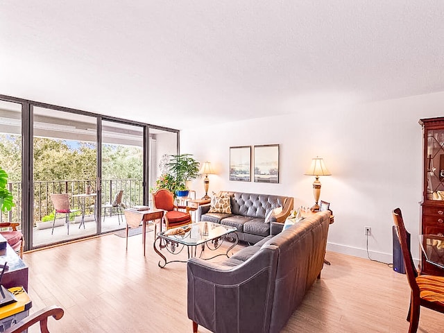 living room with expansive windows and light hardwood / wood-style flooring