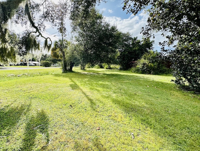 view of green lawn