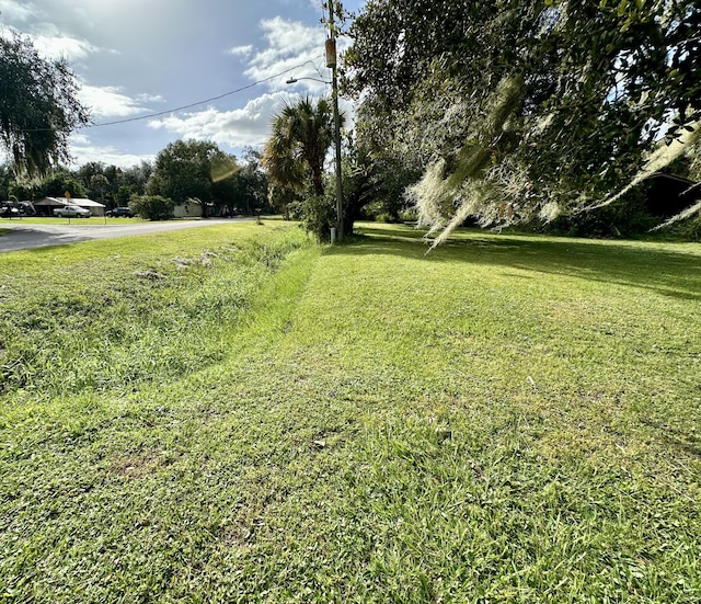 view of grassy yard