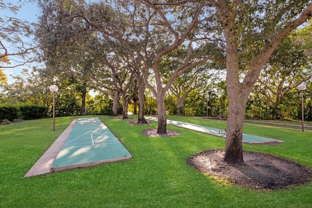 view of community featuring a lawn