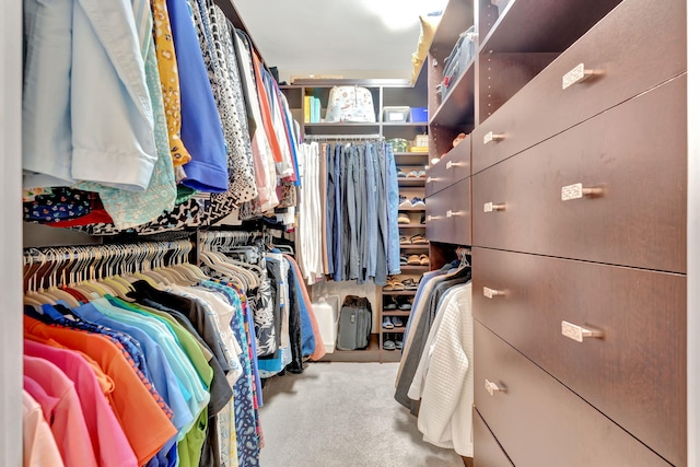 spacious closet featuring carpet flooring