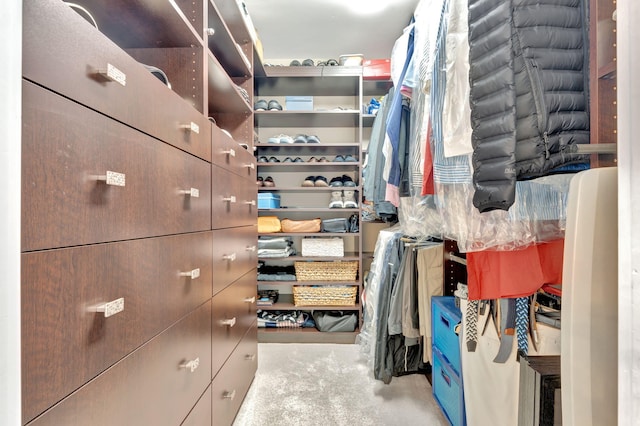 spacious closet with light carpet