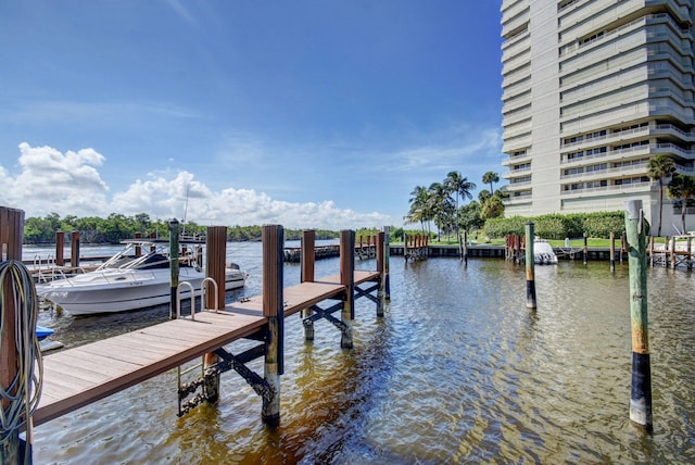 dock area with a water view