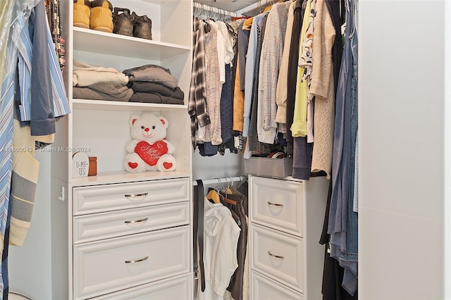 view of spacious closet