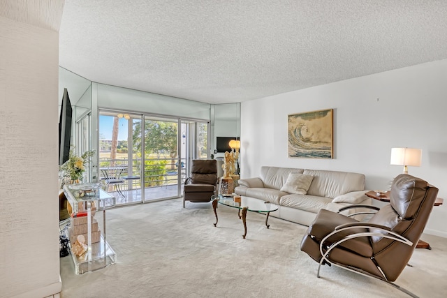 carpeted living room with a textured ceiling