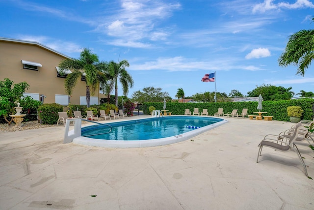 view of swimming pool with a patio area