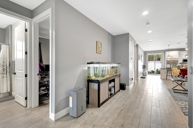 hall featuring light hardwood / wood-style flooring