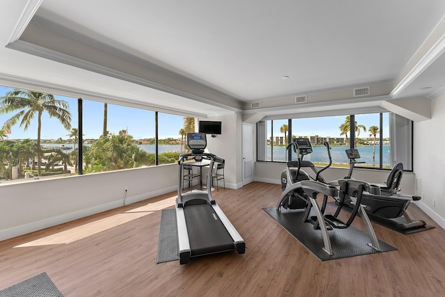 workout area featuring light hardwood / wood-style floors, a raised ceiling, and plenty of natural light