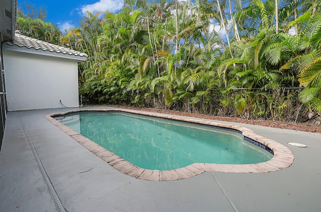 view of pool with a patio