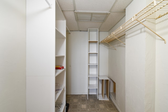 walk in closet featuring dark carpet