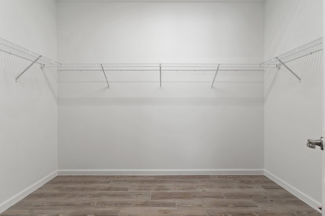 spacious closet with hardwood / wood-style floors