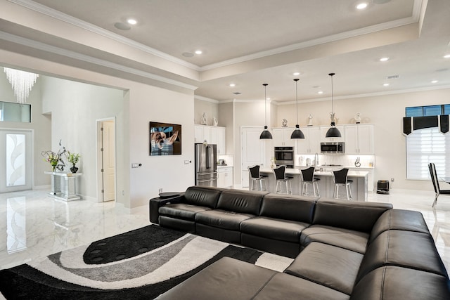 living room featuring a raised ceiling, ornamental molding, and sink