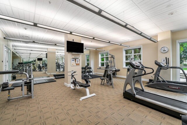 exercise room featuring light carpet and plenty of natural light