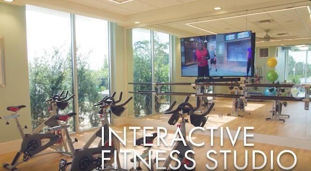 workout area featuring hardwood / wood-style floors, expansive windows, and a healthy amount of sunlight