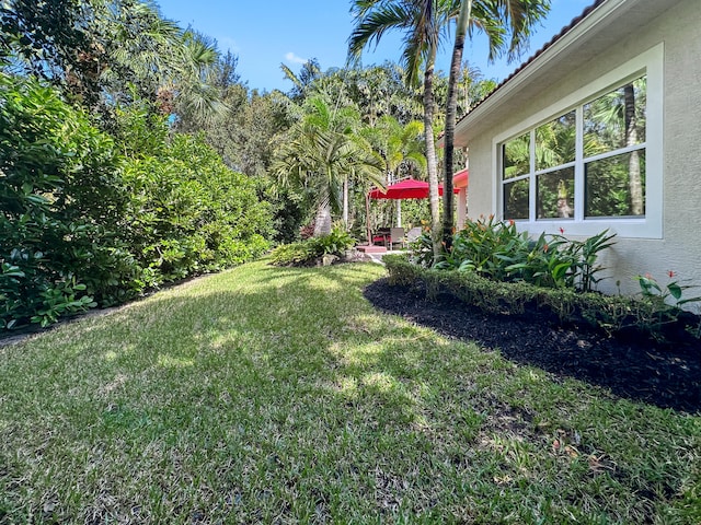 view of yard featuring a patio