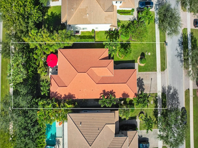 bird's eye view