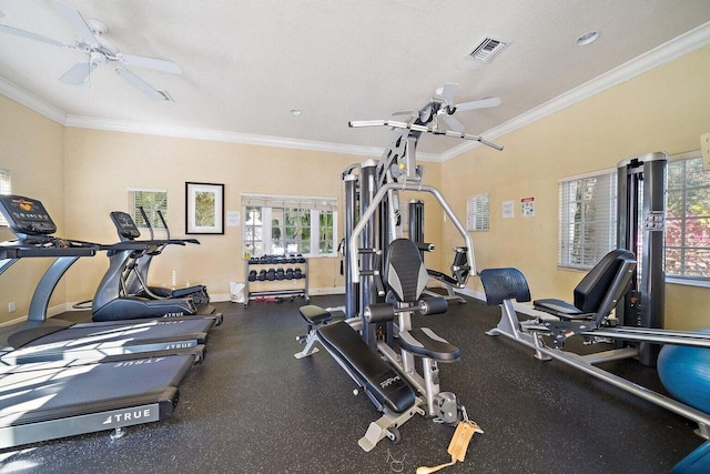 workout area with crown molding, a textured ceiling, and ceiling fan