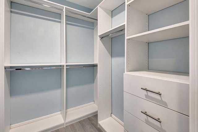 spacious closet with hardwood / wood-style floors