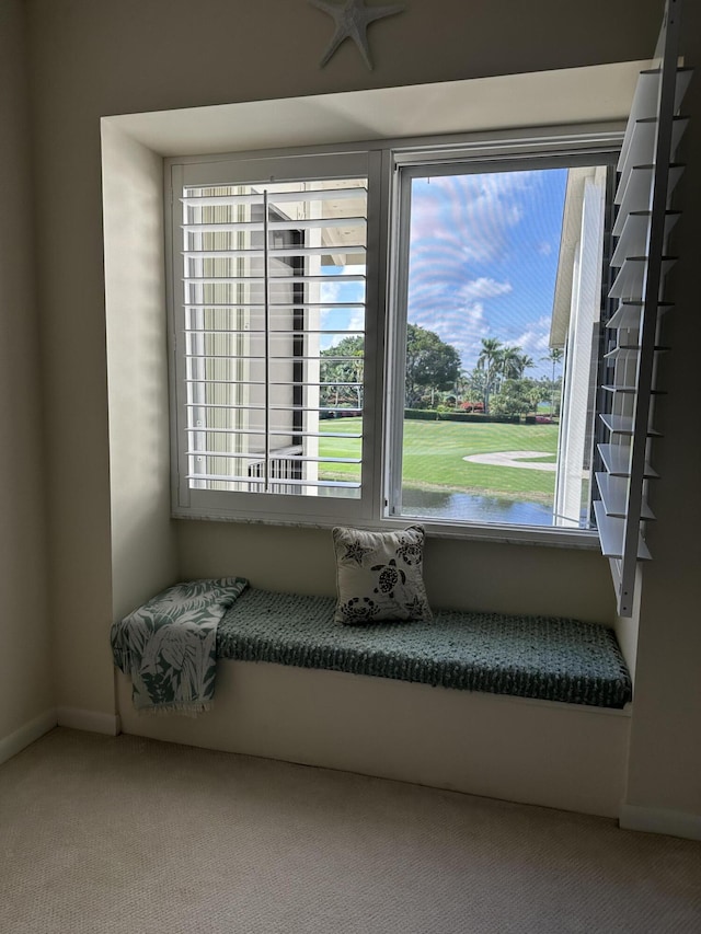 unfurnished room featuring carpet and a healthy amount of sunlight