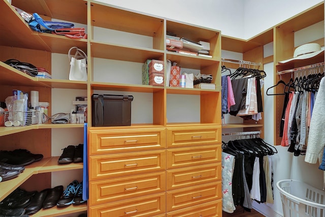 view of spacious closet