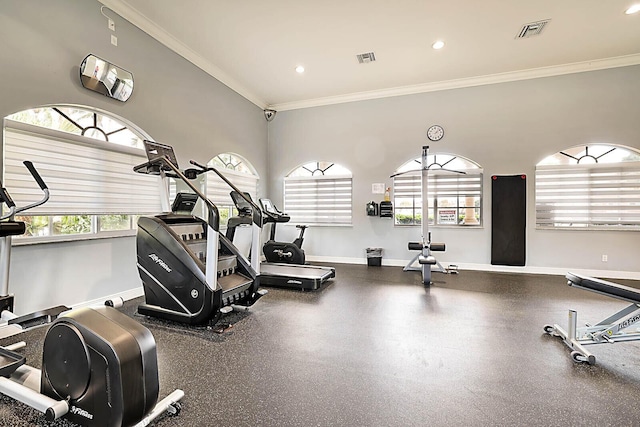 gym featuring crown molding and a healthy amount of sunlight