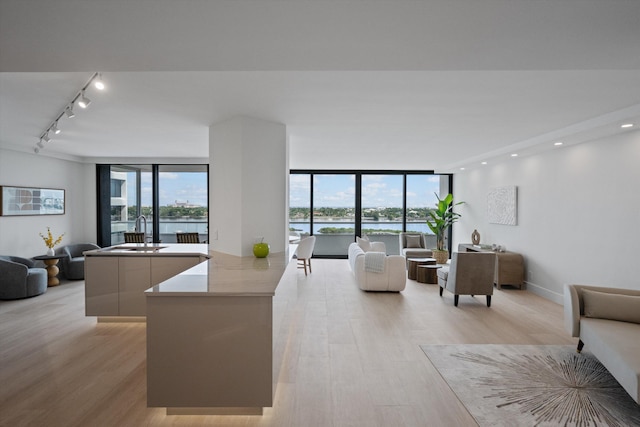 living room with sink, light hardwood / wood-style flooring, and floor to ceiling windows