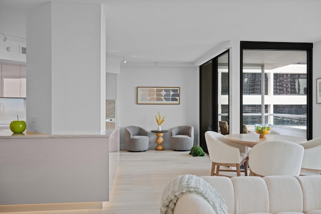 living room featuring light wood-type flooring and rail lighting