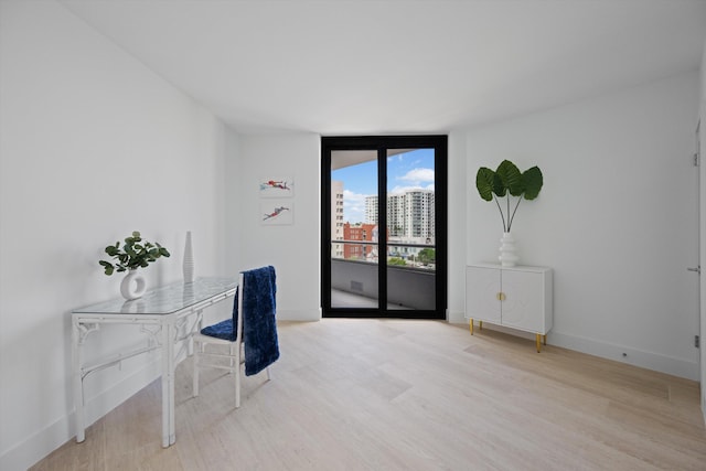 office with light wood-type flooring