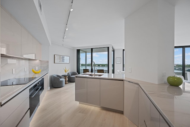 kitchen featuring a water view, a healthy amount of sunlight, sink, and light wood-type flooring