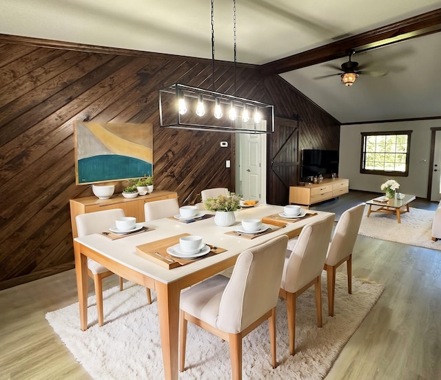 dining space with wood-type flooring, wooden walls, lofted ceiling with beams, and ceiling fan