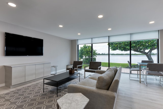 living room featuring light hardwood / wood-style floors, a water view, and a healthy amount of sunlight