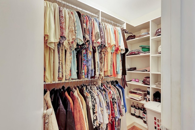 view of walk in closet