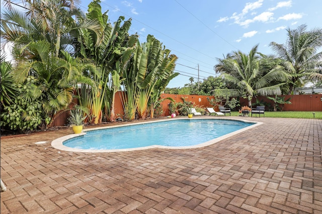 view of swimming pool with a patio