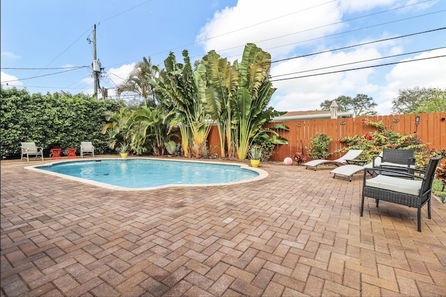 view of swimming pool with a patio