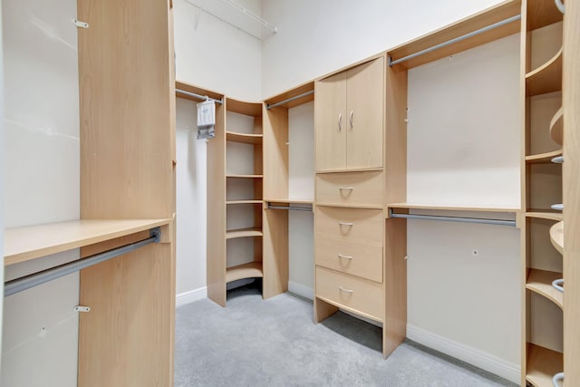 spacious closet featuring built in desk and light colored carpet